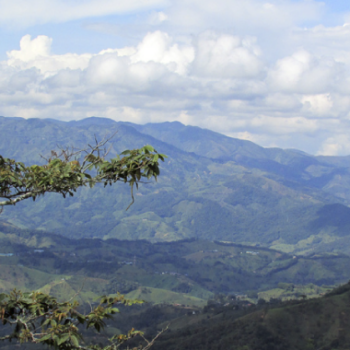 Educación Superior Rural para el Nordeste Antioqueño