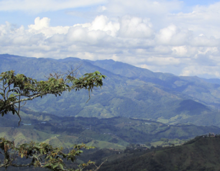 Educación Superior Rural para el Nordeste Antioqueño