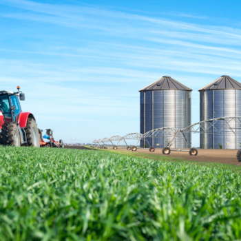 Tecnología en Procesos Agroindustriales