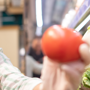 Procedimientos Sanitarios Básicos Relacionados con la Manipulación de Alimentos